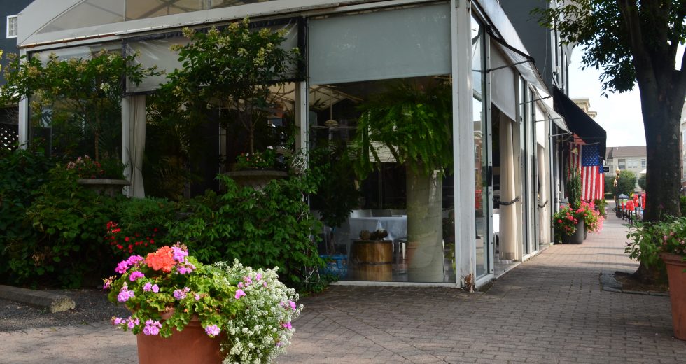 The Frog and The Peach