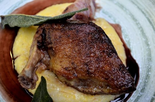 Pan Roasted Squab, Pancetta Wrapped Grilled Peaches Anson Mills Polenta, Zinfandel Reduction