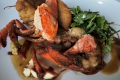 Lobster and Sweetbreads