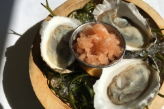 Half Shell Oysters, Peach Mignonette Granita