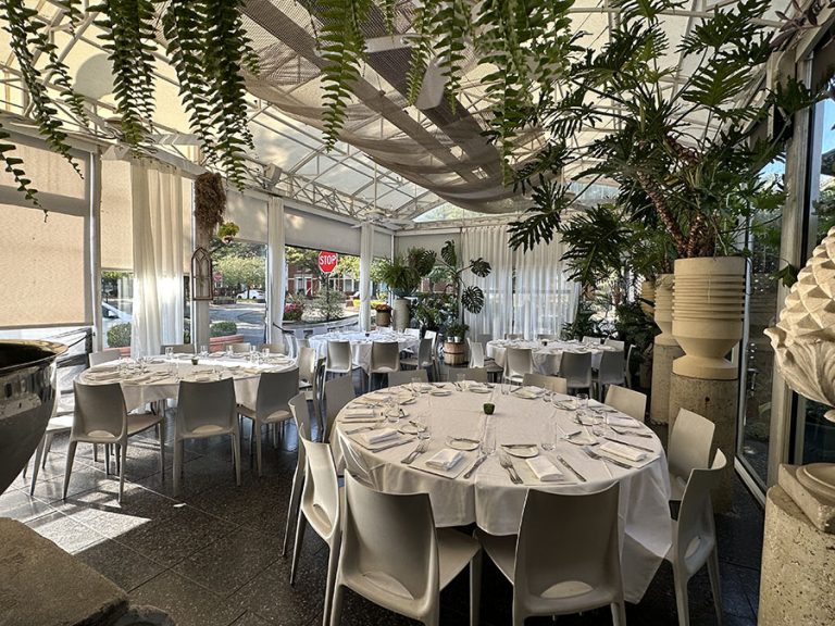 Lunch Packages and Menu Frog and Peach